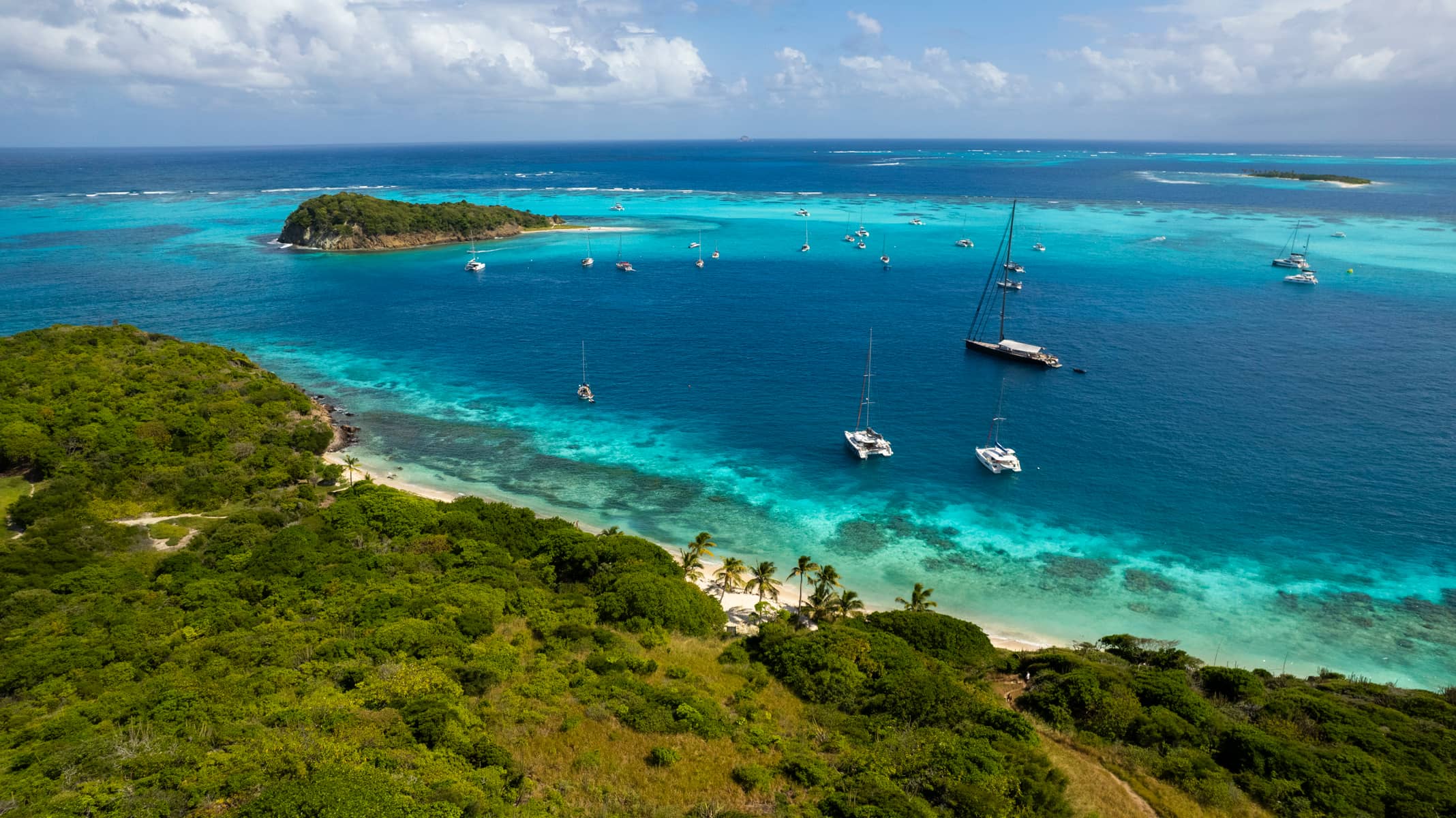 Caribbean nature, turquoise waters, palm trees and yachts off the beach